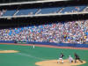 more game pics.... the Jays lost big time that day